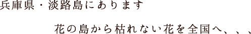 兵庫県にある淡路島にあります　花の島から枯れない花を全国へ、、、